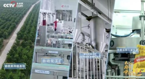 洽洽20年 一把堅果背后的匠心與堅守，與網絡科技領域技術開發的跨界啟示